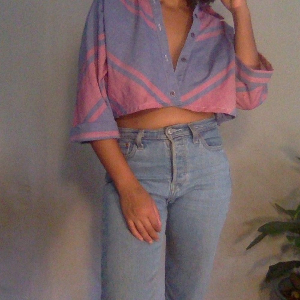 Blue and pink crop vintage button down